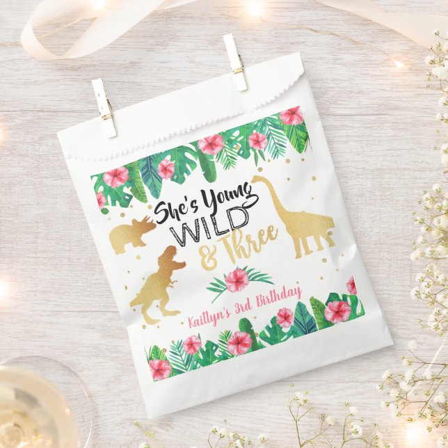 Sachets En Papier Jeune Fille Sauvage & Trois Dinosaures Troisième a (Coupé)