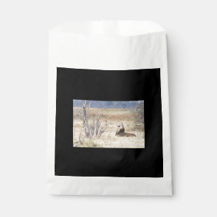 Sachets En Papier Lion de Yawning