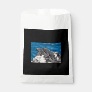 Sachets En Papier Marine Iguana
