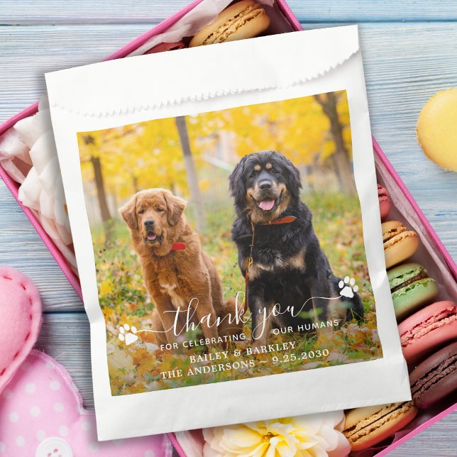 Sachets En Papier Merci photo moderne  chien animal Mariage (Créateur téléchargé)