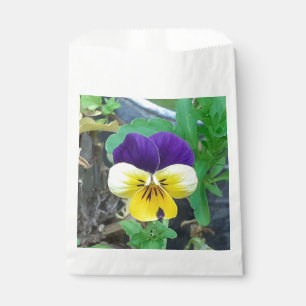 Sachets En Papier Pansy pourpre et jaune