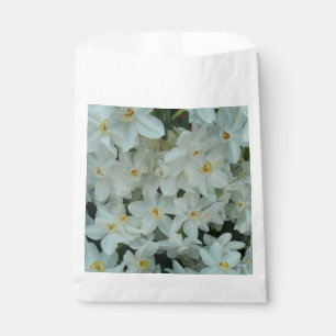 Sachets En Papier Paperwhite Narcissus Fleurs blanches délicates