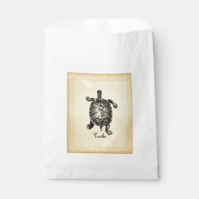 Sachets En Papier TORTUE vintage (Devant)
