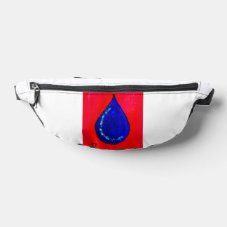 sachezavolioe fanny pack