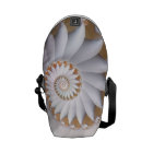 Beau Motif Abstrait de Shell de la Mer Blanche