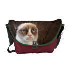 Classique grincheux de chat