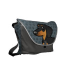 Dachshund (manteau lisse)