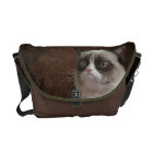 Éclat grincheux de chat