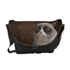 Éclat grincheux de chat