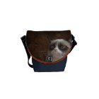 Éclat grincheux de chat