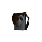 Éclat grincheux de chat