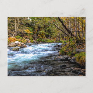 SACRAMENTO RIVER POSTCARD