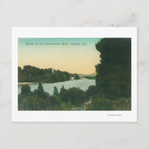 Sacramento River SceneColusa, CA Postcard
