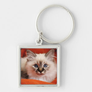 Sacred Birman Kitten Keychain