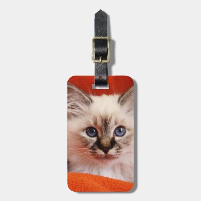 Sacred Birman Kitten Luggage Tag (Front Vertical)