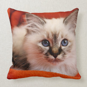 Sacred Birman Kitten Throw Pillow