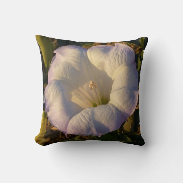 Sacred Datura Flower Desert Wildflower Throw Pillow (Front)
