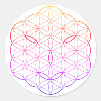 Sacred face - Arcturian, Cl-Tr. Classic Round Sticker