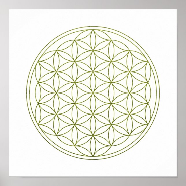 Sacred Geometry Flower Of Life (V-Sprout) Poster (Front)