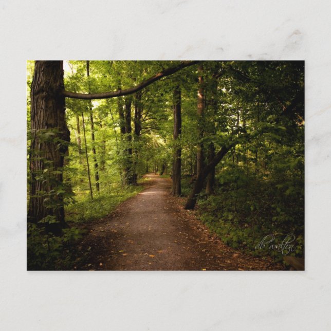 Sacred Grove, Palmyra, New York Postcard (Front)