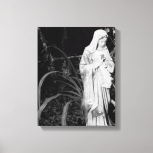 Sacred Heart of Mary Original Photography Canvas Print