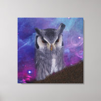 Sacred owl and fantasy sky