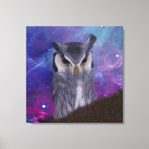Sacred owl and fantasy sky canvas print