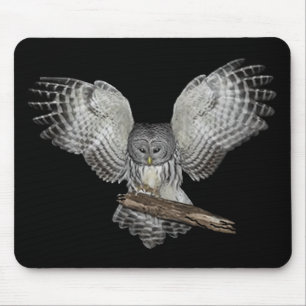 Sacred Owl Mousepad