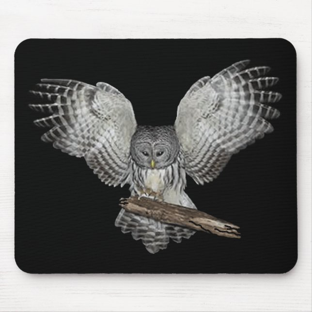 Sacred Owl Mousepad (Front)