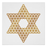 Sacred Star - Star of Life, 04/3D-Br.