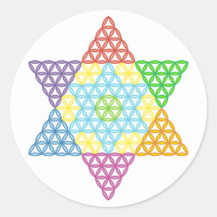 Sacred Star - Star Of Life, 04/3D-CF. Classic Round Sticker