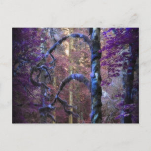 Sacred Tree Postcard