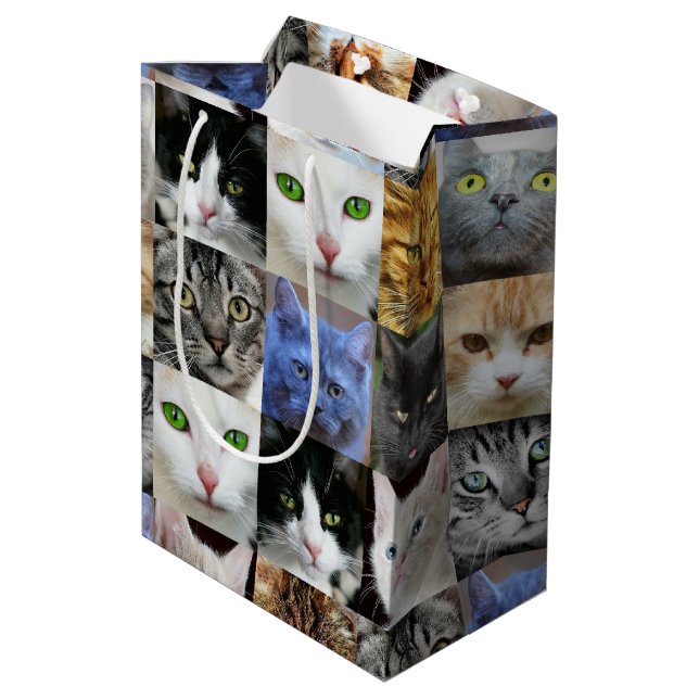 Sacs Cadeaux en Papier Imprimés Chats (Dos Angle)