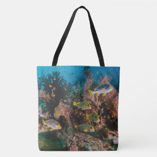 Sacs Coral Reef Beach