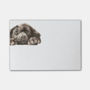 Sad Black Labrador Retriever Dog Pet Animal Post-it Notes
