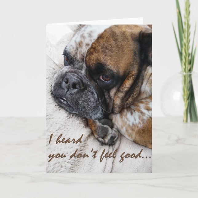 Sad Bulldog Get Well Sympathy Card (Front)