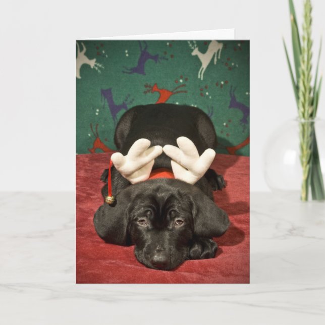 Sad Christmas pup Holiday Card (Front)