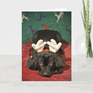 Sad Christmas pup Holiday Card