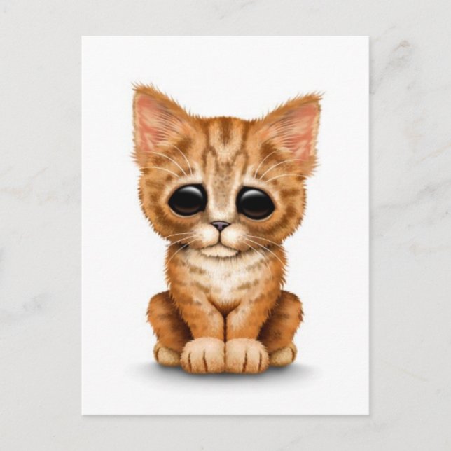 Sad Cute Orange Tabby Kitten Cat on White Postcard (Front)