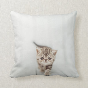 Sad Cute Persian Exotic Kitten Cat Throw Pillow