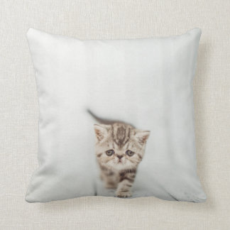 Sad Cute Persian Exotic Kitten Cat Throw Pillow