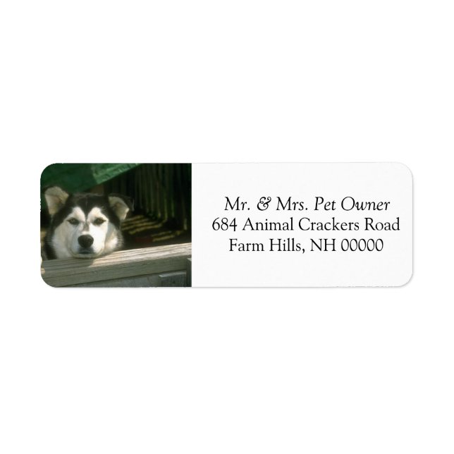 Sad Dog Return Address Mail Labels Stickers (Front)