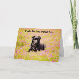 Sad Dog Sweet Miss Missing You Card