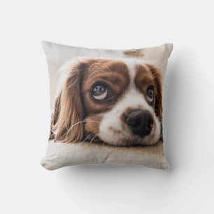 Sad-Eyed Cocker Spaniel Dog Throw Pillow