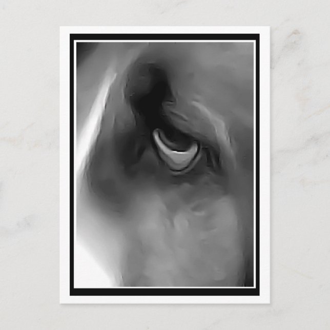 Sad Eyed Hound Postcard (Front)