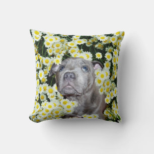Sad Face Of A Staffordshire Bull Terrier Puppy, Throw Pillow