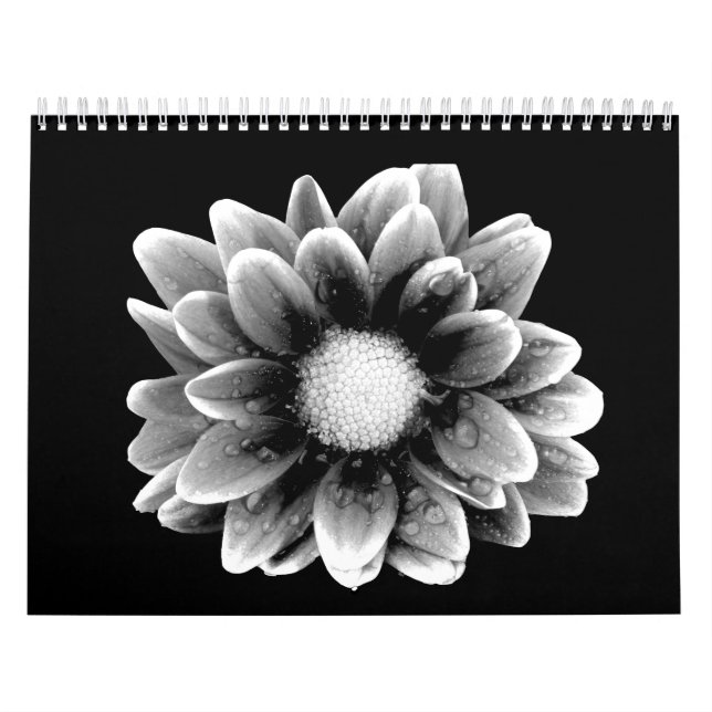 Sad Flower Calendar (Cover)