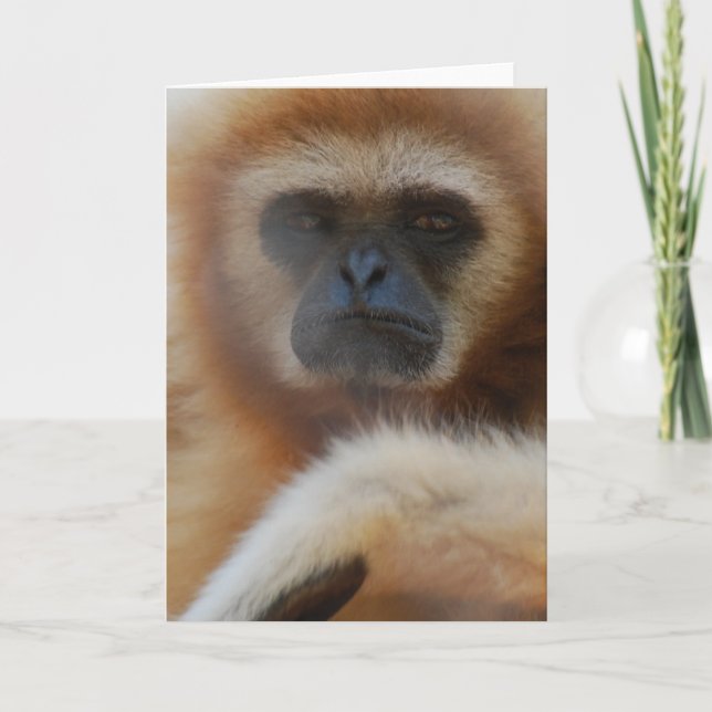 Sad Gibbon Greeting Card (Front)