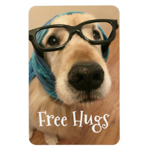 Sad Golden Retriever Dog With Glasses Free Hugs Magnet
