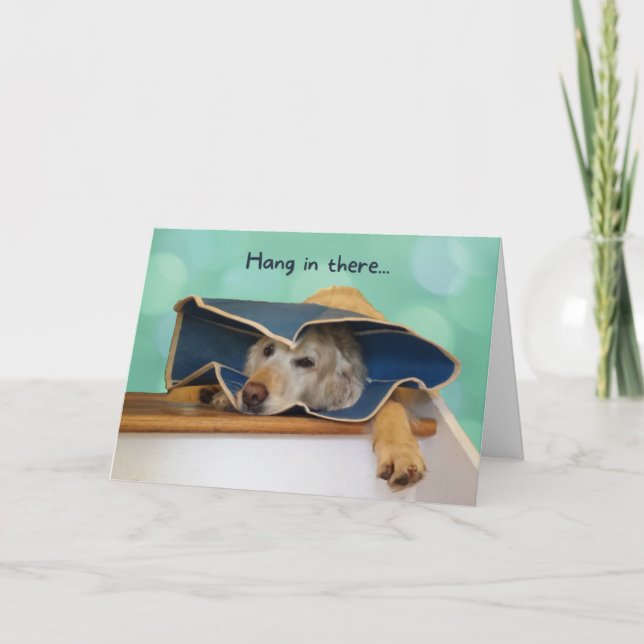 Sad Golden Retriever in Cone Get Well Card (Front)
